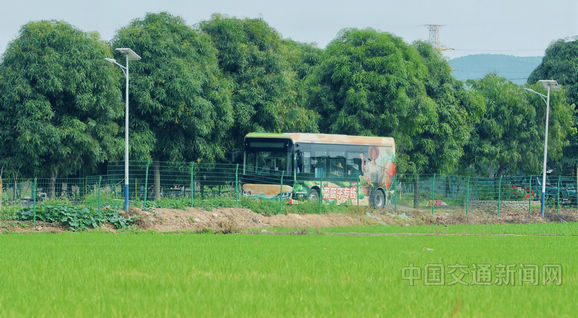 南宁“菜篮子专线”连接起田间地头和市民餐桌